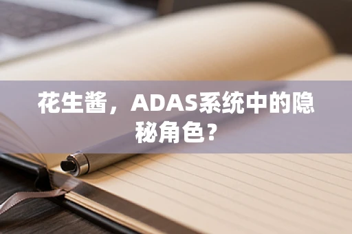 花生酱，ADAS系统中的隐秘角色？