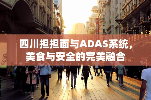 四川担担面与ADAS系统，美食与安全的完美融合