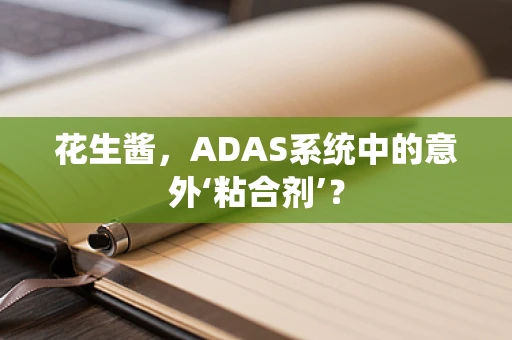 花生酱，ADAS系统中的意外‘粘合剂’？